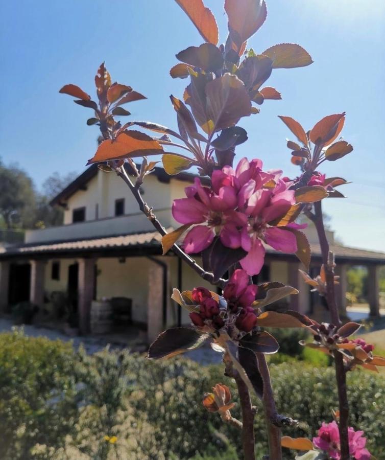 Casale Terre Rosse Couette-café *