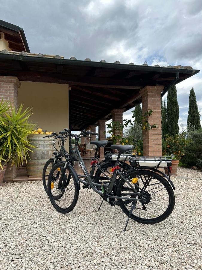 Casale Terre Rosse Garden Bed & Breakfast