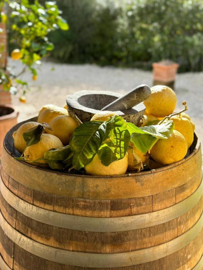 Casale Terre Rosse Garden Bed & Breakfast *