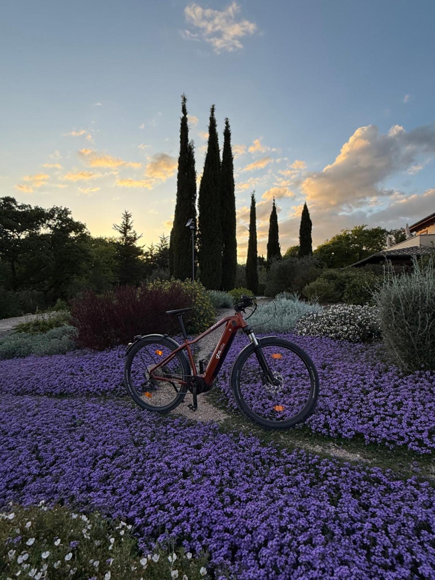 Casale Terre Rosse Bed and breakfast