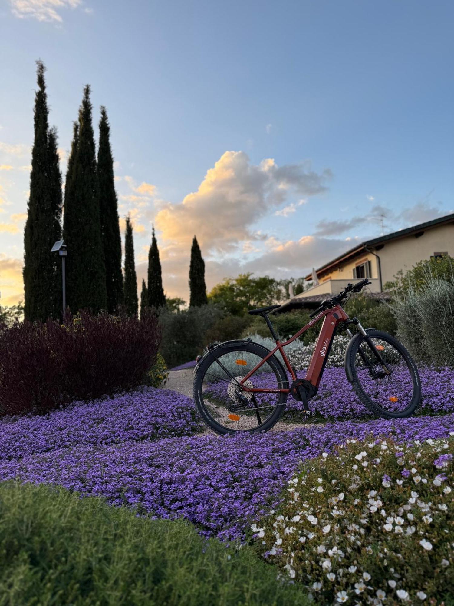 Bed and breakfast Casale Terre Rosse
